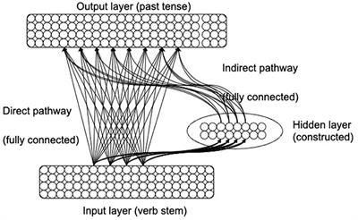 Origins of Dissociations in the English Past Tense: A Synthetic Brain Imaging Model